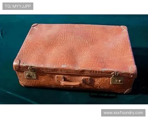 德媒揭示阿德耶米神秘盒子真相并非误购武器背后故事