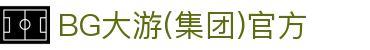 BG大游(集团)唯一官方网站